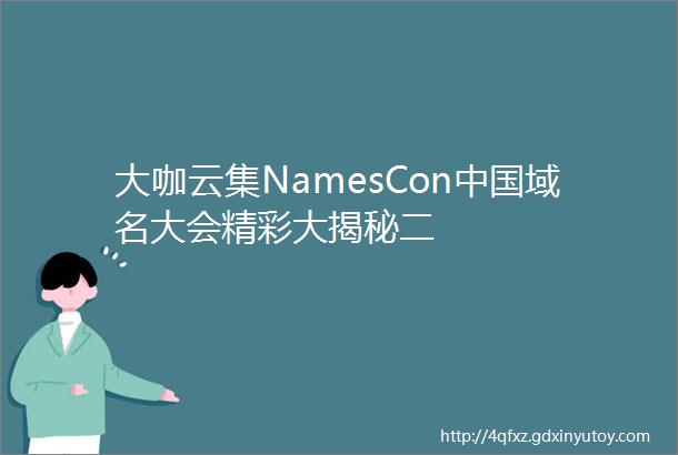 大咖云集NamesCon中国域名大会精彩大揭秘二